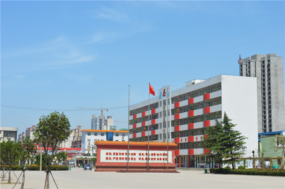 通许丽星小学